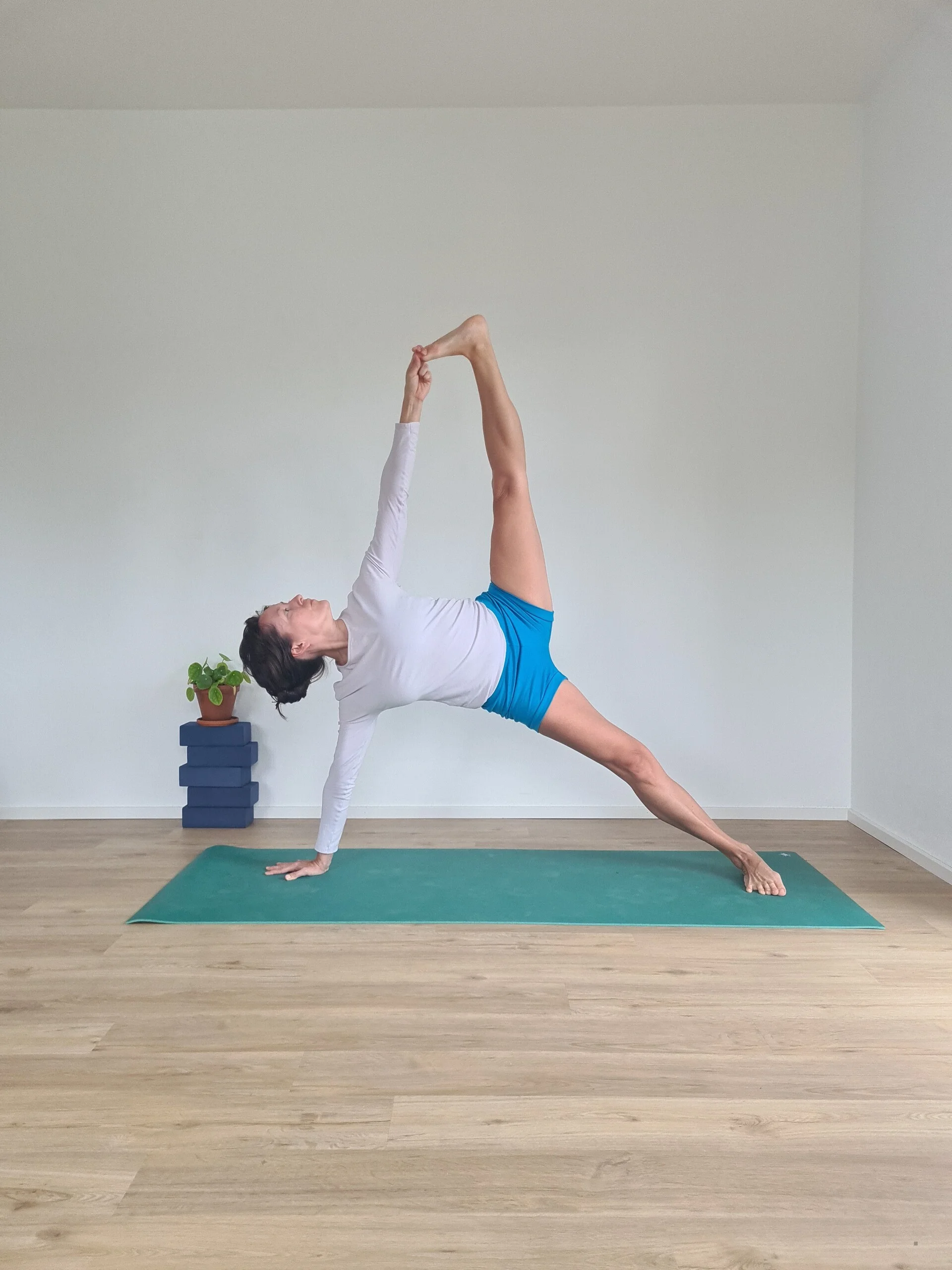 Workshop con Claudia Lamas Cornejo – Insegnante di Yoga Iyengar
