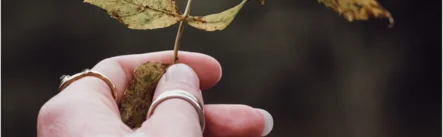 Yoga and it's beginnings