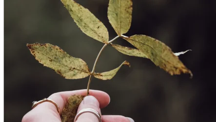 Yoga und seine Anfänge