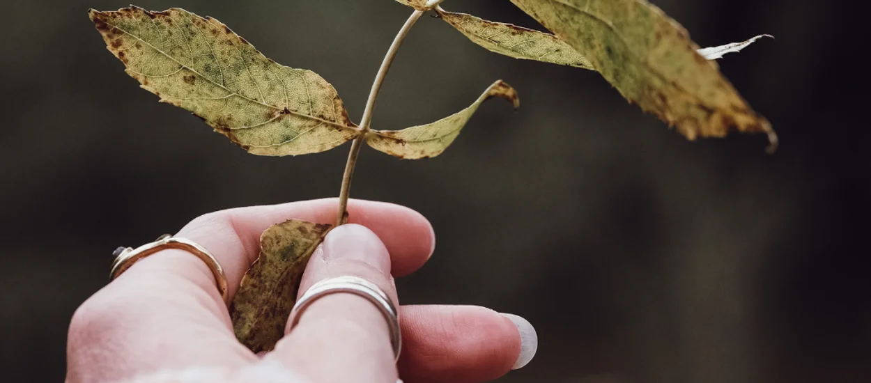 Yoga und seine Anfänge