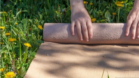 Od zimske utrujenosti do pomladne energije: jogijska pot do nove vitalnosti in skrbi zase