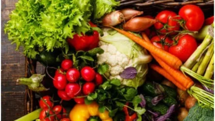 Pozno poletje: čas za krepitev vranice