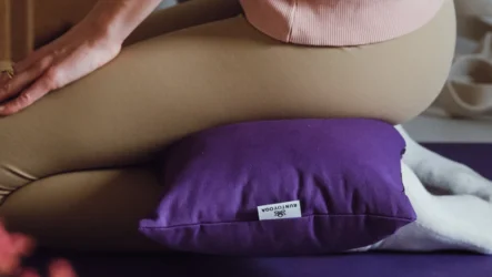 Jesenksa umetnost umirjanja