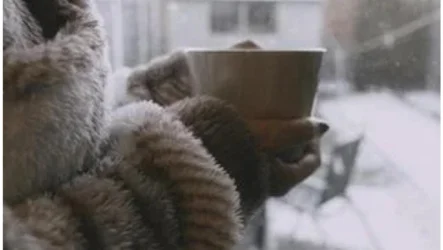 Zima, čas, ko krepimo ledvica