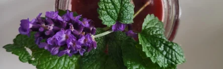 Erfrischende Lavendel-Limonade