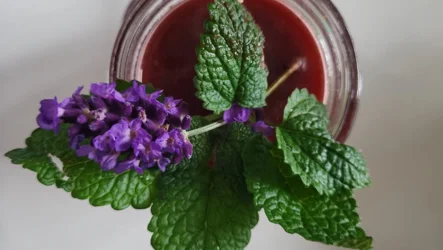 Osvežilna sivkina limonada