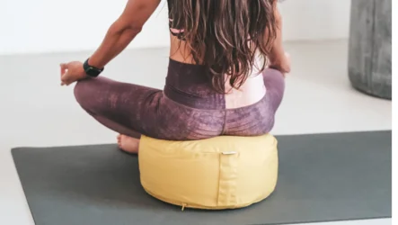 Zafu: zgodovina, znanost in umetnost udobnega sedenja med meditacijo