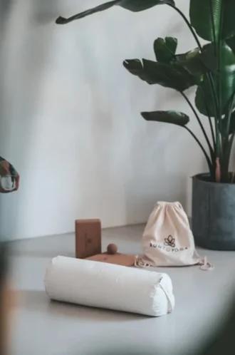 Bolster, organic – filled with buckwheat hulls – White