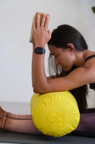 Bolster, organic – filled with buckwheat hulls – Yellow