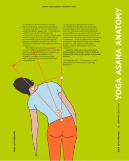 Anatomija joga asan