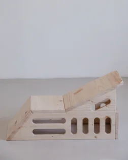 Simhasana Box