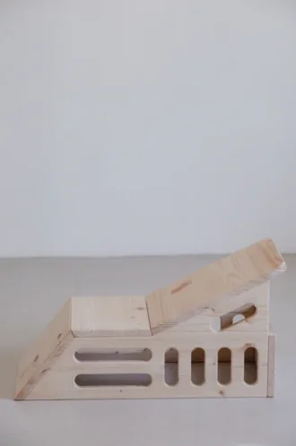 Simhasana Box