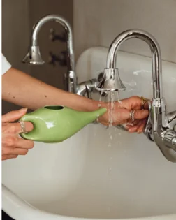 Lota neti, verde